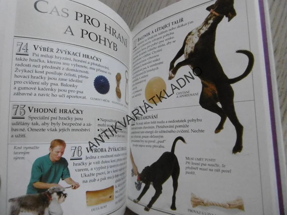 JAK PEČOVAT O PSA, 101 PRAKTICKÝ RAD, BRUCE FOGLE, **an