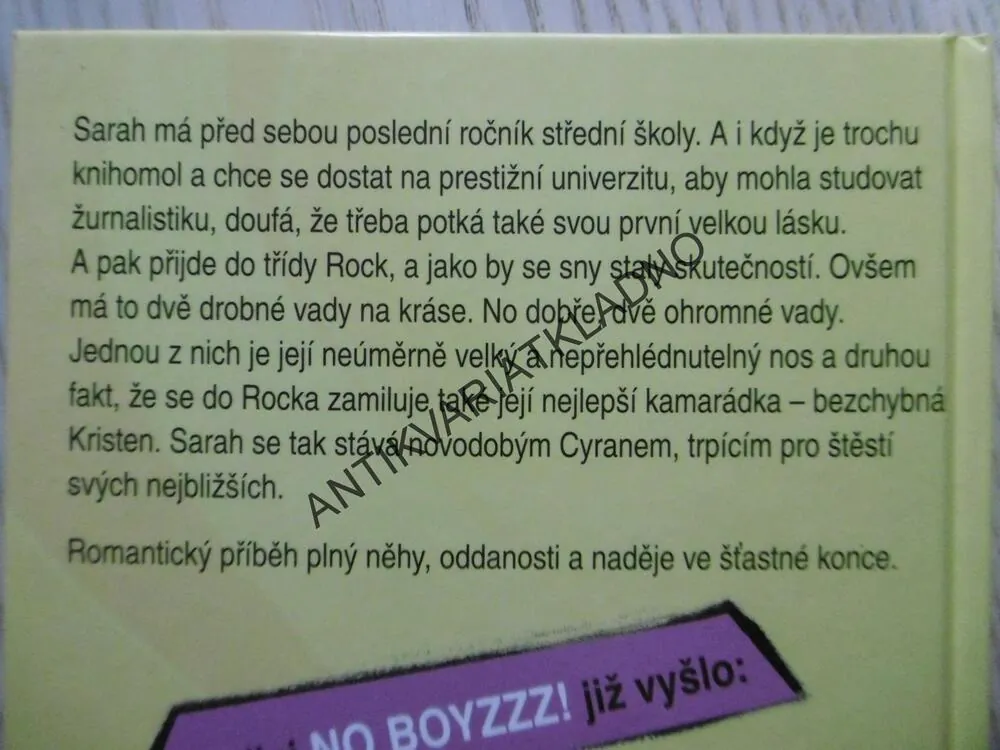 BEZCHYBNÁ, LARA CHAPMANOVÁ, **an