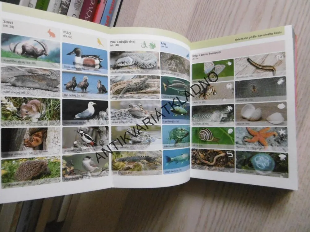 ATLAS ŽIVOČICHŮ, 1000 ŽIVOČICHŮ STŘEDNÍ EVROPY, HEIKO BELLMANN A KOLEKTIV, **an