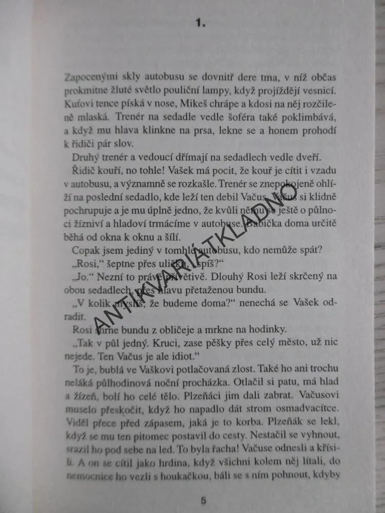 HOKEJKY, MILADA VEČEŘOVÁ, **an