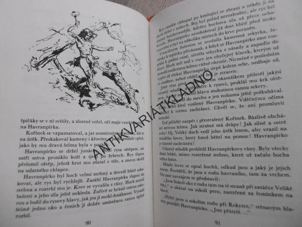 OSADA HAVRANŮ, EDUARD ŠTORCH, **an
