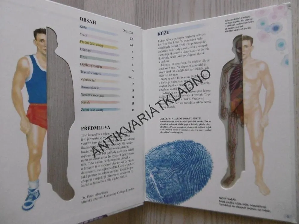 LIDSKÉ TĚLO, FASCINUJÍCÍ PRŮHLED DO FUNKCÍ NAŠEHO TĚLA, **an