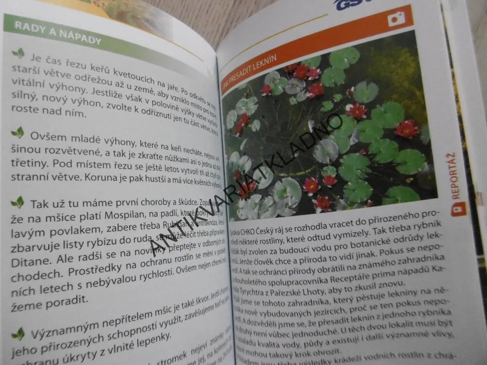 RADY PŘEMKA PODLAHY, PŘEMEK PODLAHA, **an