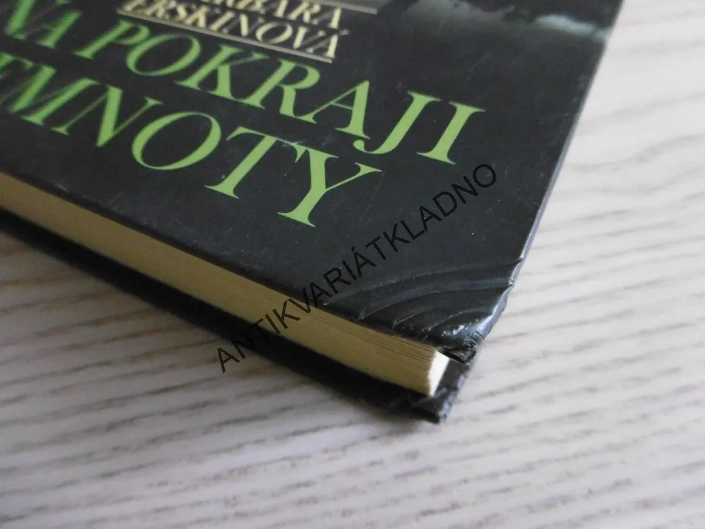 NA POKRAJI TEMNOTY, BARBARA ERSKINOVÁ, **an