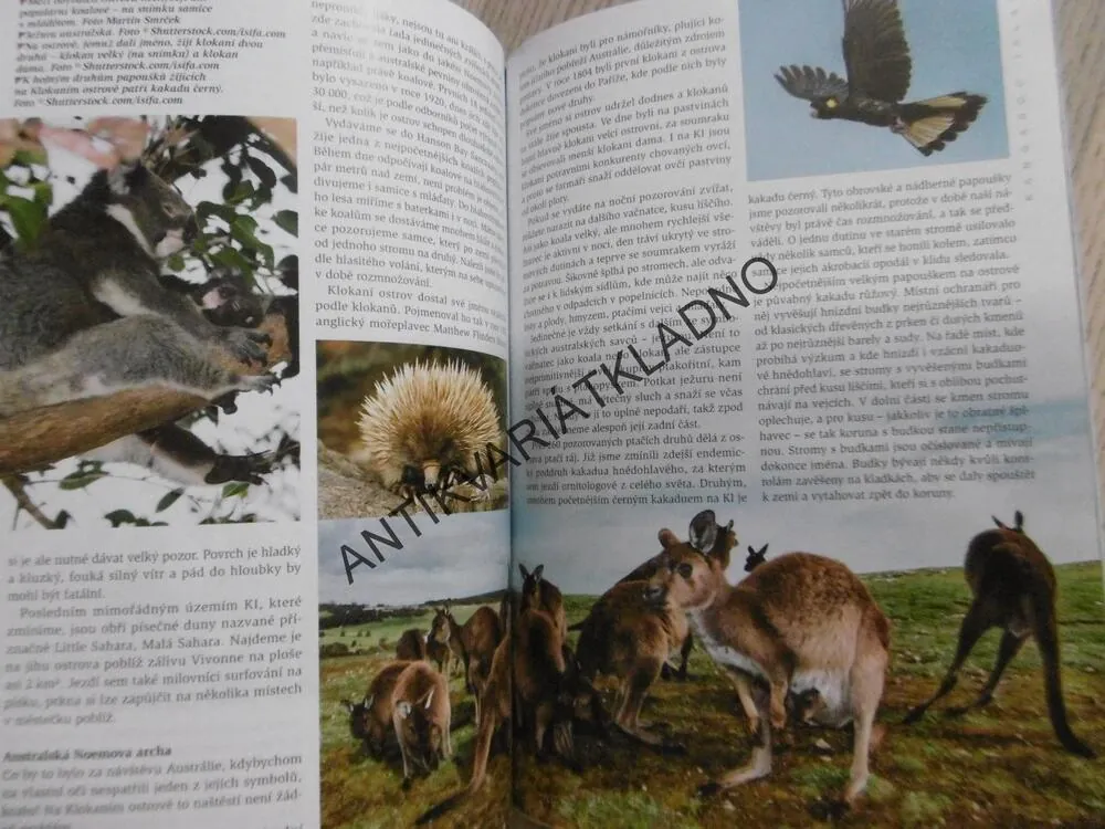 ZEMĚ SVĚTA 6/2019 - AUSTRÁLIE