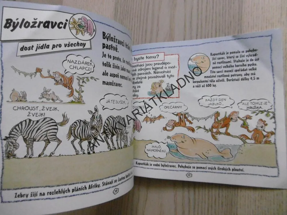 SAVCI, ZÁBAVNÁ FAKTA, **an