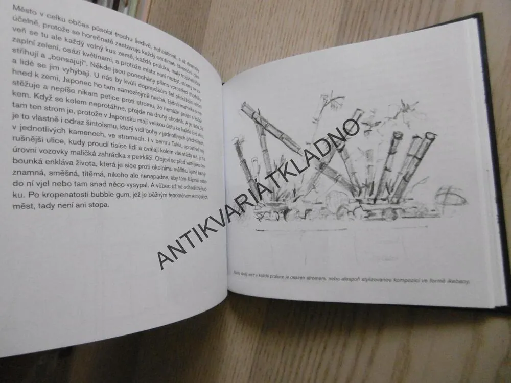 PŘEKVAPIVÉ STAVBY, DAVID VÁVRA, **an