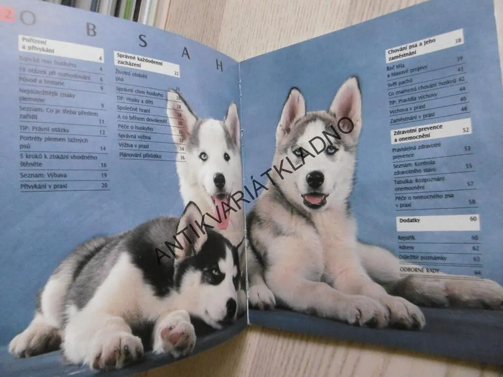 HUSKY, KATHARINA SCHLEGOVÁ-KOFLEROVÁ