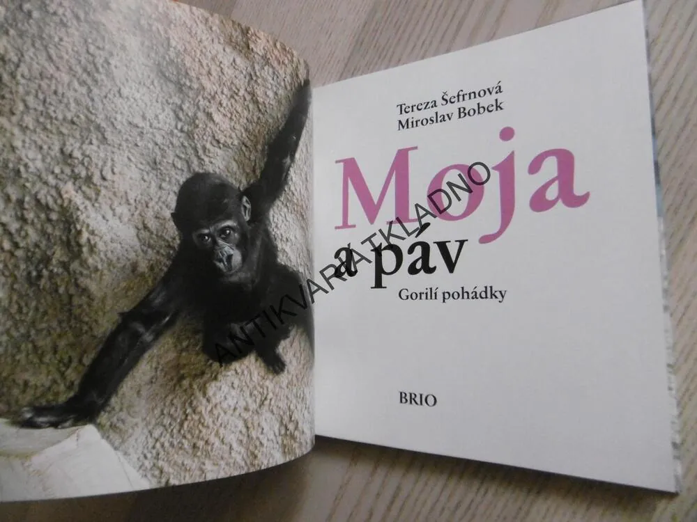 MOJA A PÁV, TEREZA ŠEFRNOVÁ, MIROSLAV BOBEK, **an