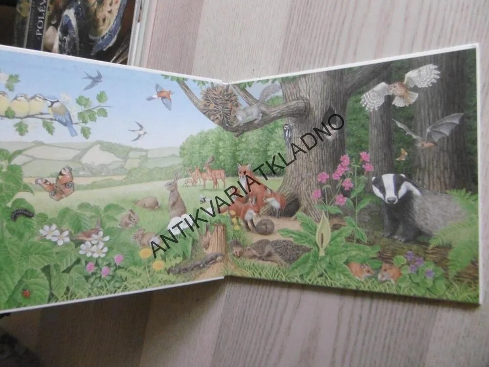 ZVÍŘÁTKA A HÁDANKY, BOB BAMPTON, JULIE BAMPTON, **an