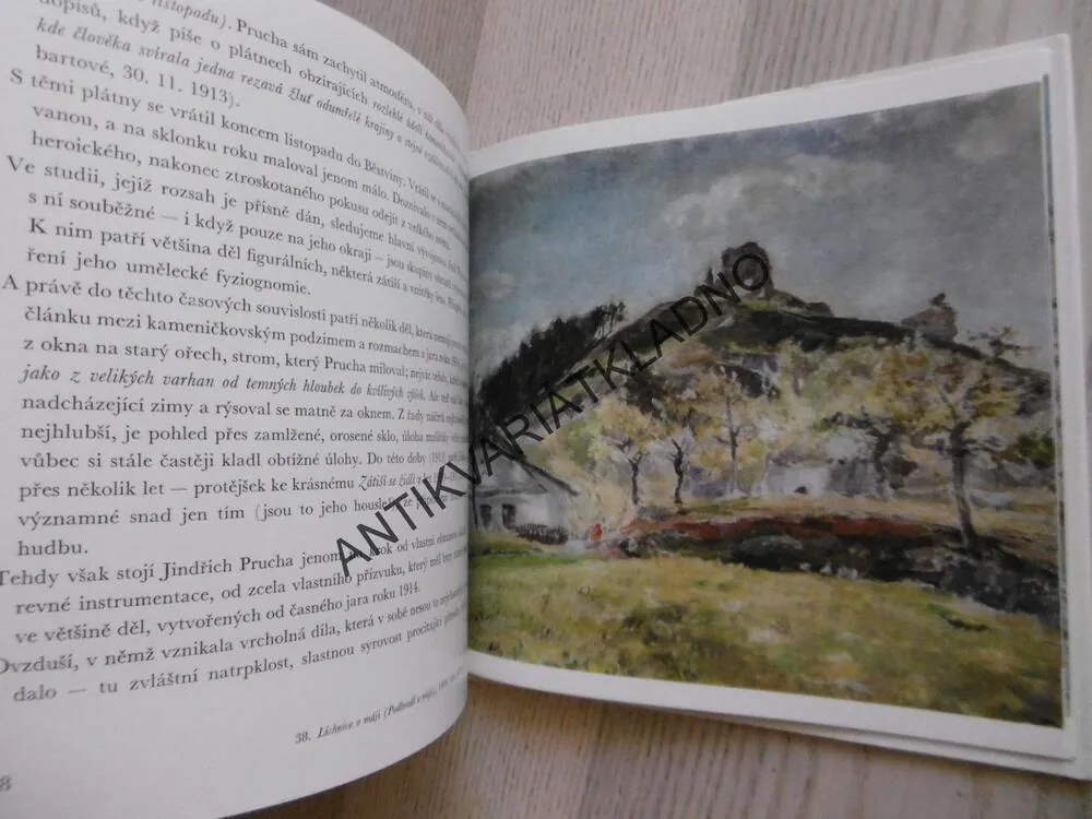 JINDŘICH PRUCHA, JAN M. TOMEŠ, **an