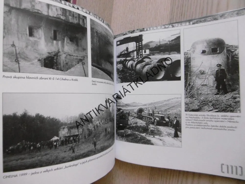 BETONOVÁ ILUZE, VÁCLAV JUNEK, **an