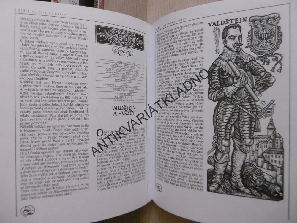 ČTENÍ O HRADECH, ZÁMCÍCH A MĚSTECH, EDUARD PETIŠKA, **an