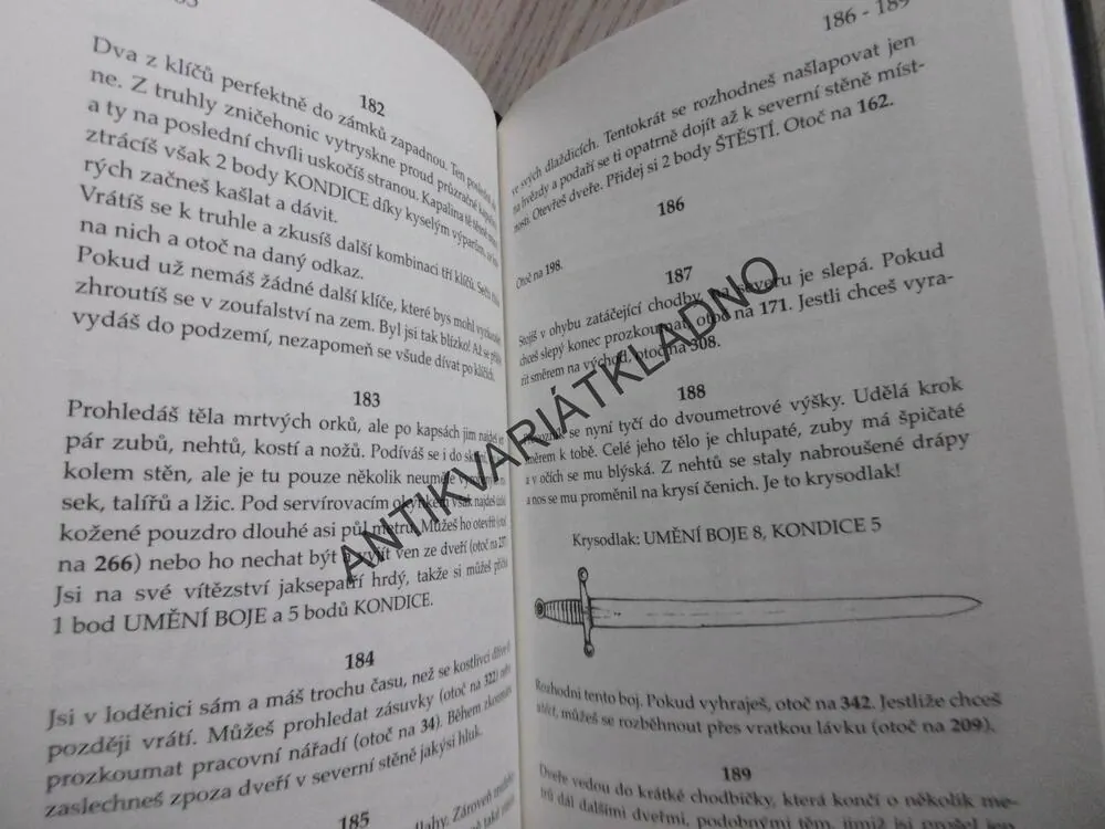 ČARODĚJ Z OHŇOVÉ HORY, STEVE JACKSONE, IAN LIVINGSTONE, **an