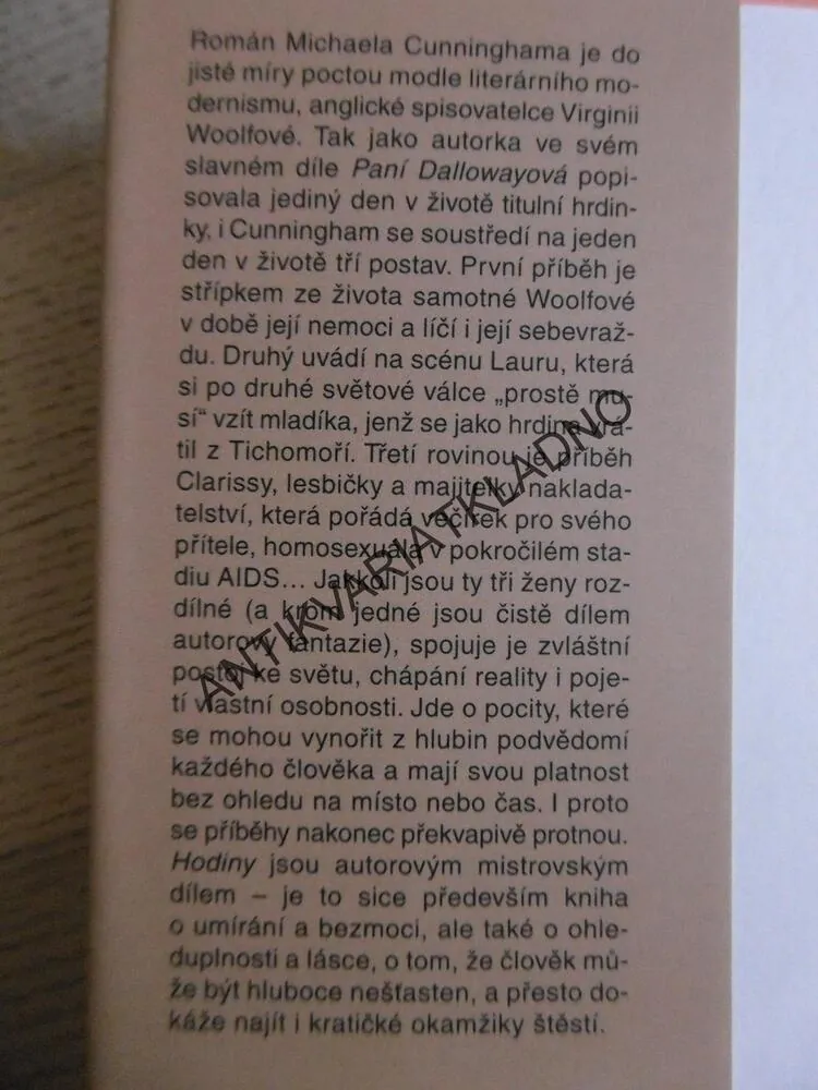 HODINY, MICHAEL CUNNINGHAM, **an