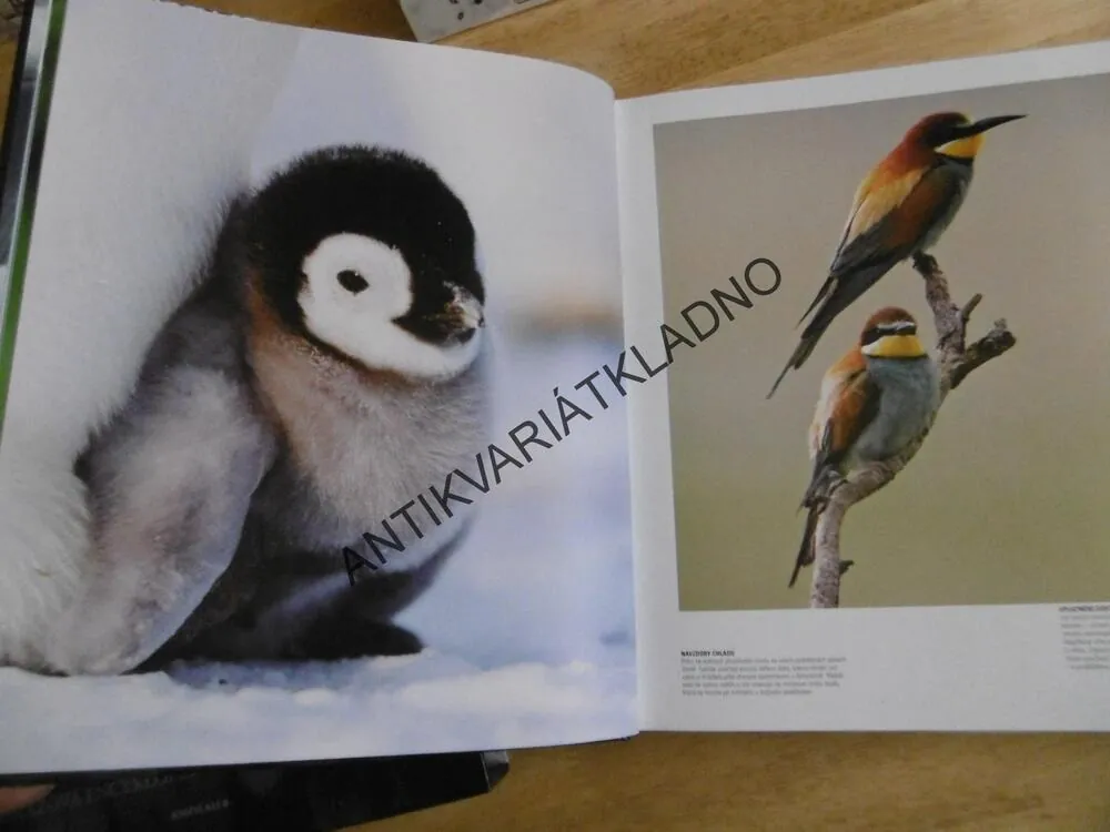 PTÁCI, OBRAZOVÁ ENCYKLOPEDIE PTÁKŮ CELÉHO SVĚTA
