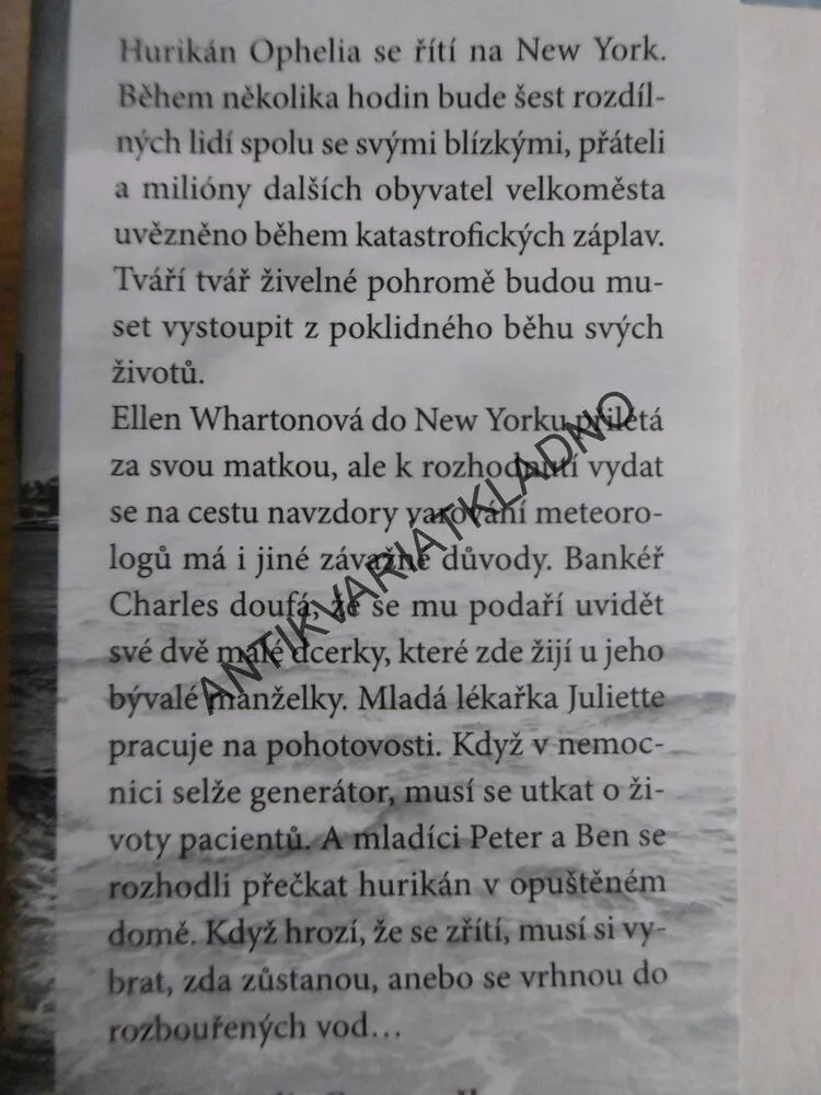ROZBOUŘENÉ VODY, DANIELLE STEEL, **an