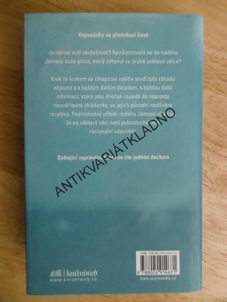 MOST ČASU, LETECTVÍ, PILOT, BRUCE LEININGER, GROSS