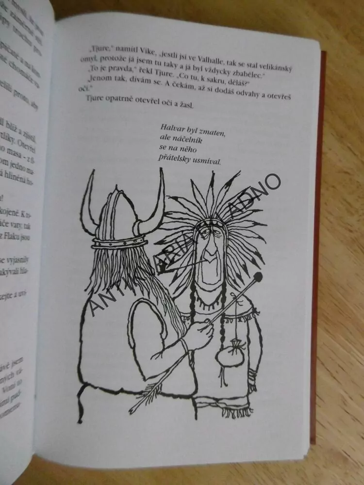 DRUHÁ KNIHA VIKINGA VIKA, RUNER JOHSSON,