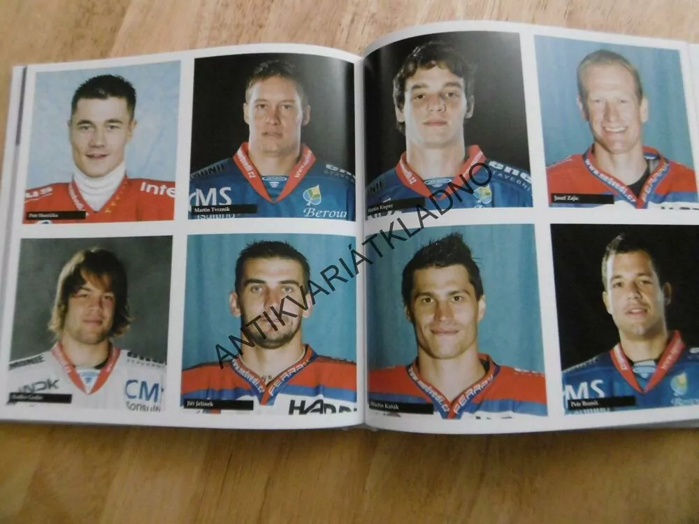 BEROUNŠTÍ MEDVĚDI, HISTORIE BEROUN HOKEJ, 2011