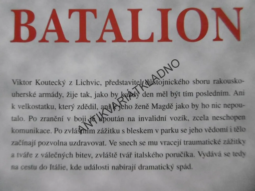 POSLEDNÍ BATALION, FRANTIŠEK NIEDL, **an