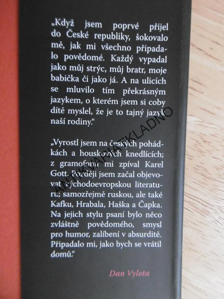 PAVEL A JÁ, ROMÁN Z POVÁLEČNÉHO BERLÍNA, DAN VYLETA