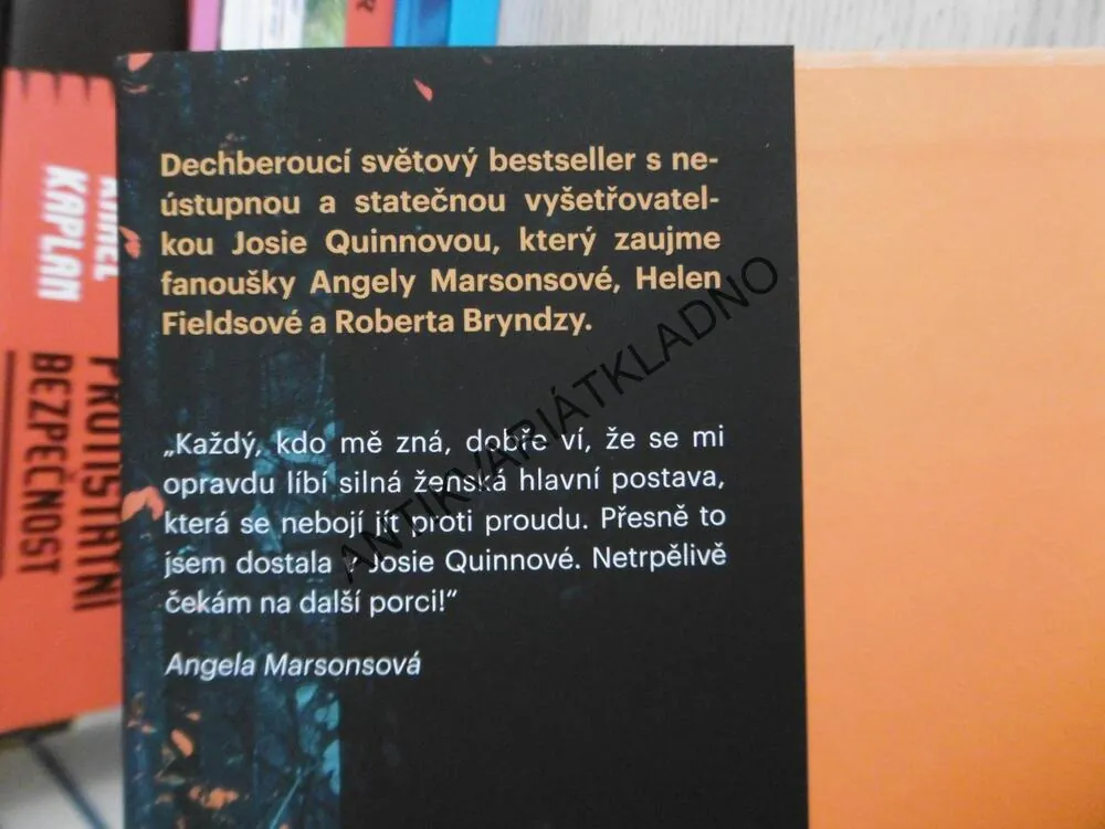 DÍVKA BEZE JMÉNA, LISA REGANOVÁ, **an