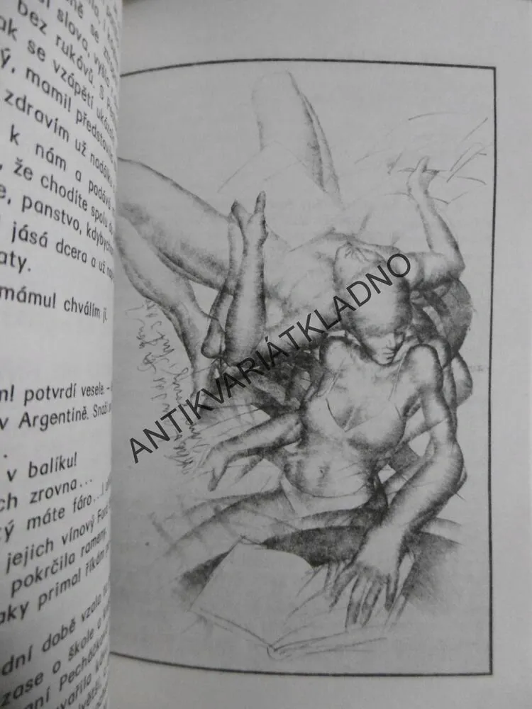 Z DENÍKU PAMPELIŠKY, STANISLAV RUDOLF, **an