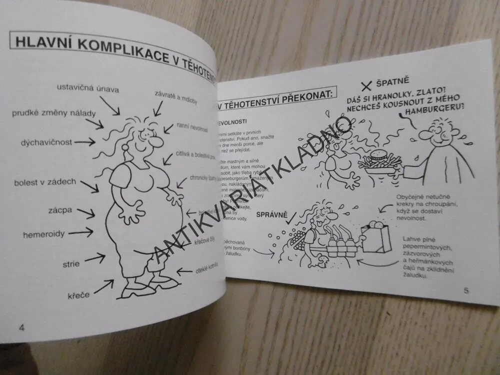 TĚHOTENSTVÍ, NÁVOD K PŘEŽITÍ, MARTIN BAXENDALE