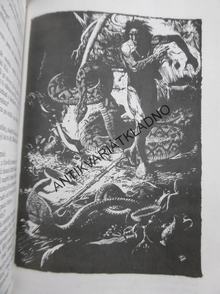 KNIHY DŽUNGLÍ, RUDYARD KIPLING, **an