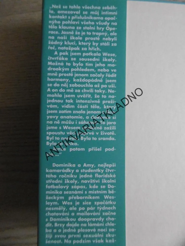 JAK HOLKY PŘICHÁZEJ O ILUZE ANEB ANATOMIE MÝHO PRVNÍHO KLUKA, DARIA SNADOWSKY, **an