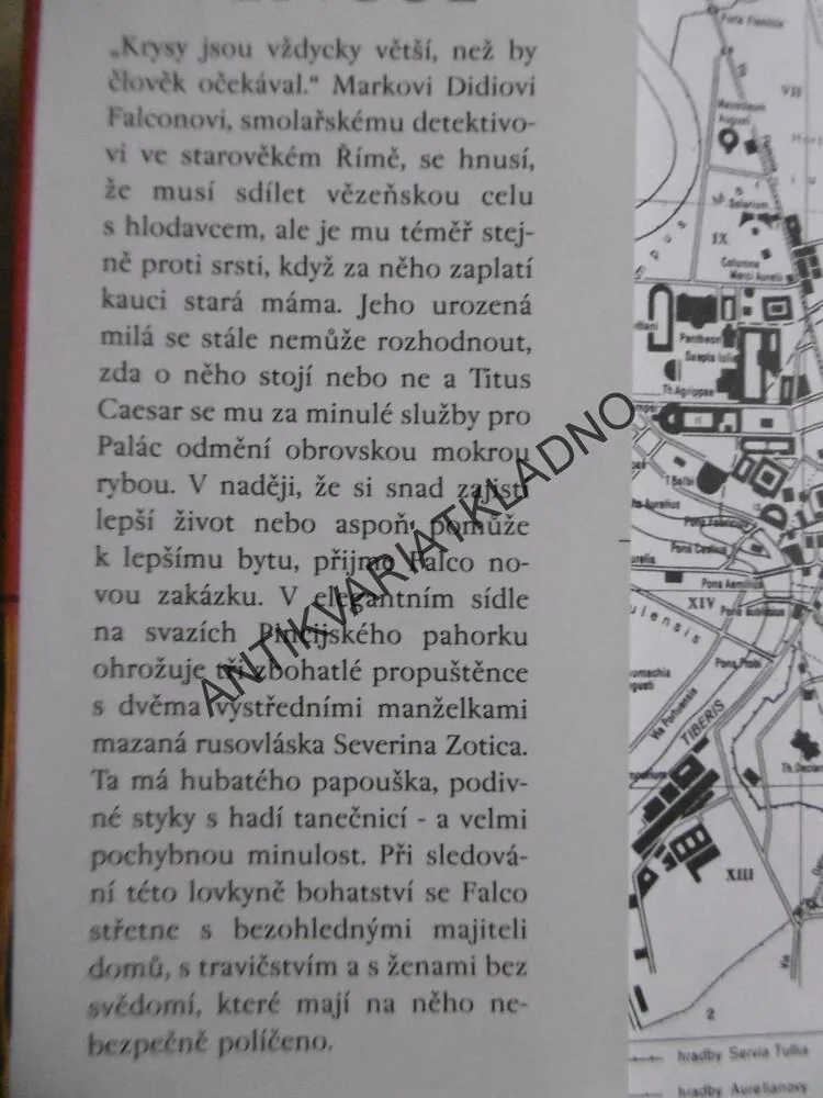 MĚDĚNÁ VENUŠE, LINDSEY DAVISOVÁ, **an
