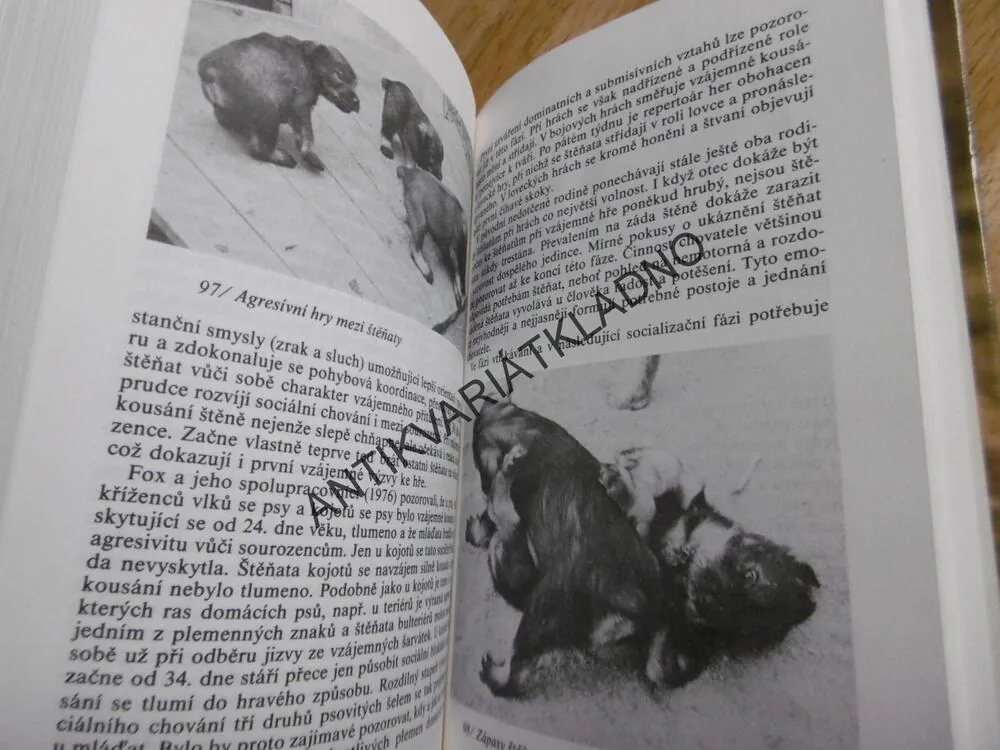POZNEJ SVÉHO PSA, PES, KYNOLOGIE, MIKULICA, **an