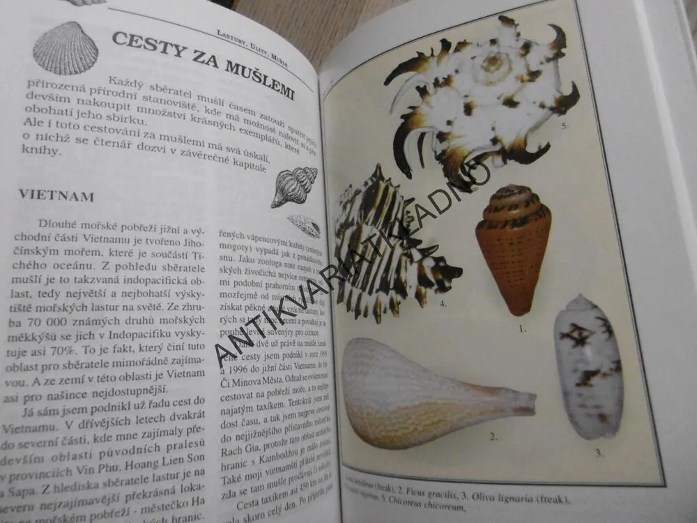 LASTURY, ULITY, MUŠLE, JAROSLAV PICKA, **an