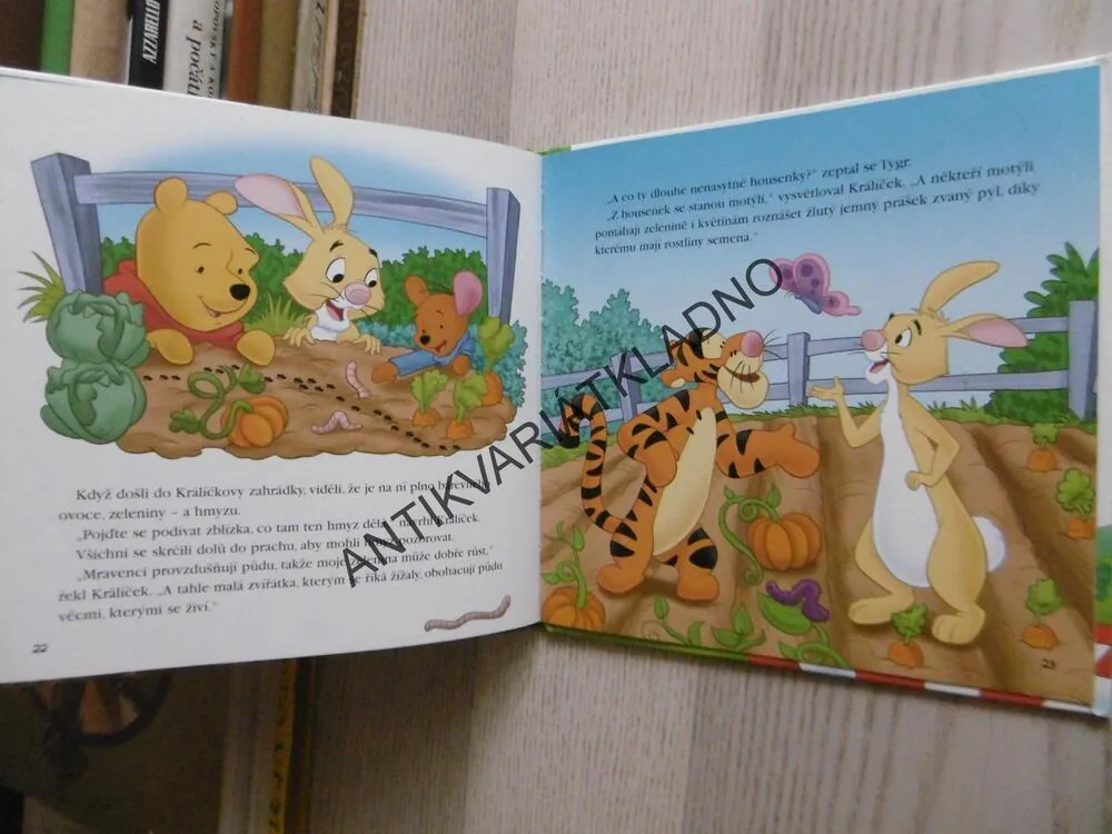 ČÍM JE UŽITEČNÝ HMYZ, MEDVÍDEK PÚ, WALT DISNEY, **an