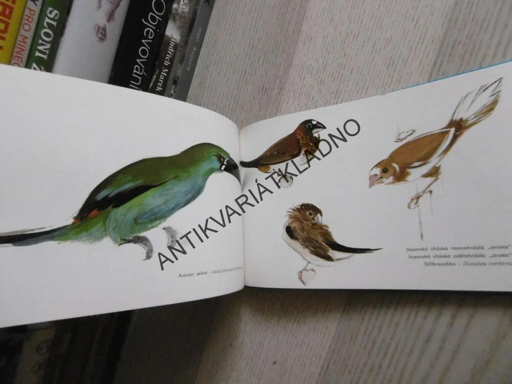 CIZOKRAJNÍ PTÁCI V BYTĚ, ZDENĚK VEGER, **an