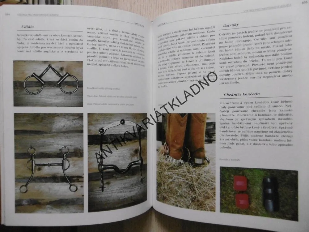 WESTERNOVÉ JEŽDĚNÍ, JOSÉE HERMSEN, **an