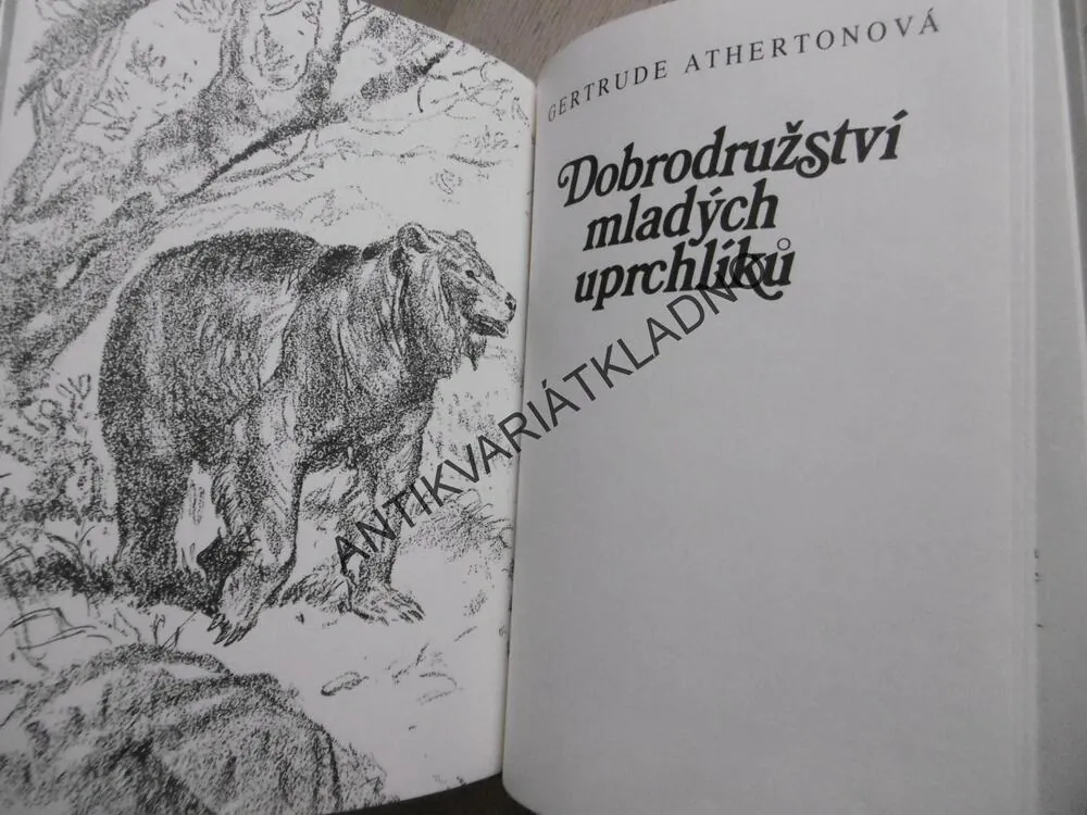 DOBRODRUŽSTVÍ MLADÝCH UPRCHLÍKŮ, G. ATHERTONOVÁ, **an
