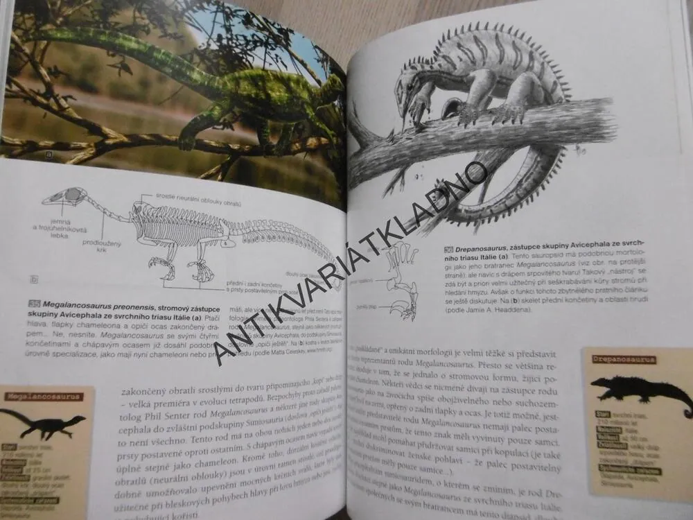 ZEMĚ PŘED DINOSAURY, SÉBASTIEN STEYER, **an