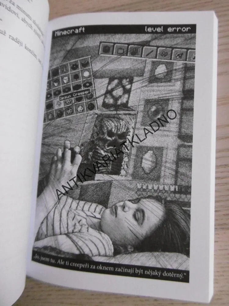 ZAJATCI MINECRAFTU, PETR HETEŠA, **an