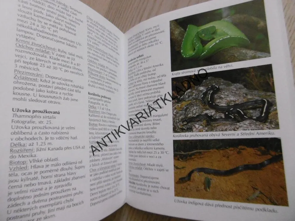 HADI, HROZNÝŠOVITÍ A UŽOVKOVITÍ HADI V TERÁRIU, KLAUS GRIEHL, **an