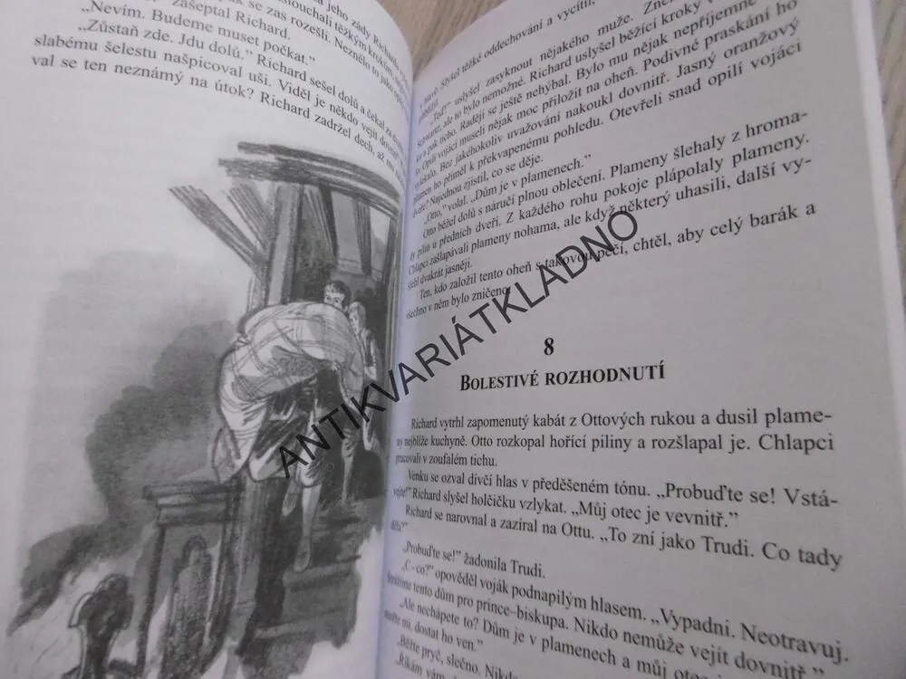 TAJNÝ CHRÁM, LOUISE A. VERNON, **an