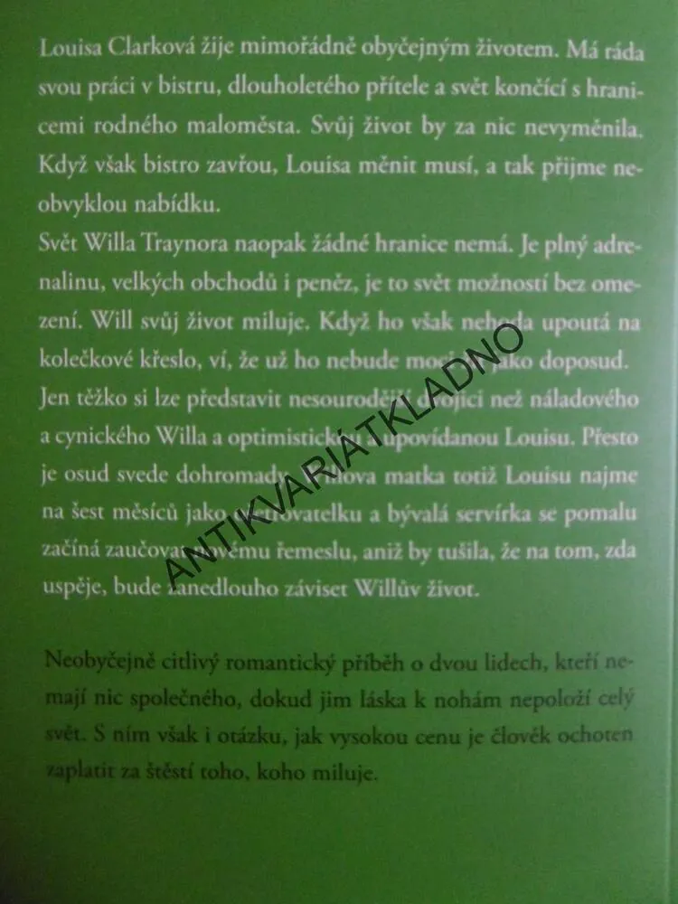 NEŽ JSEM TĚ POZNALA, JOJO MOYESOVÁ, **an
