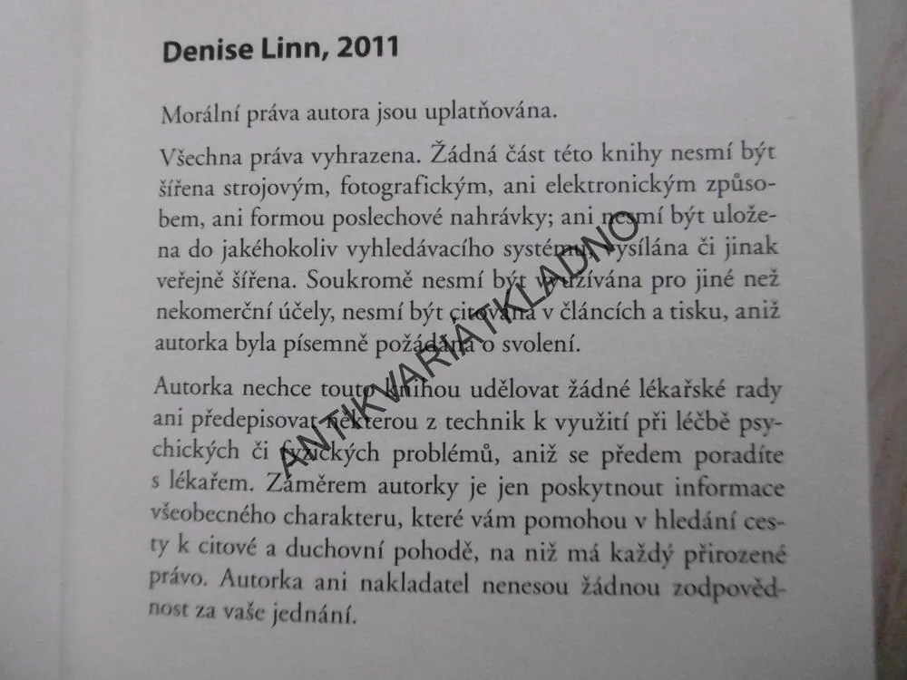 21 DNÍ K POCHOPENÍ VAŠICH MINULÝCH ŽIVOTŮ, DENISE LINN, **an