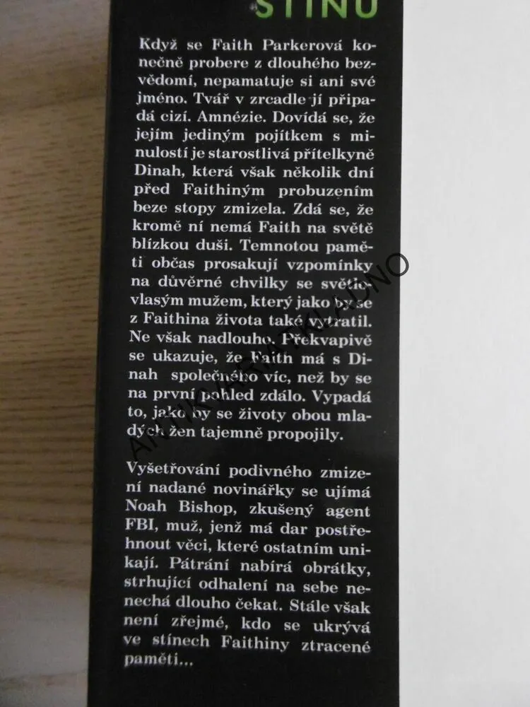 V ZAJETÍ STÍNŮ, KAY HOOPER, **an