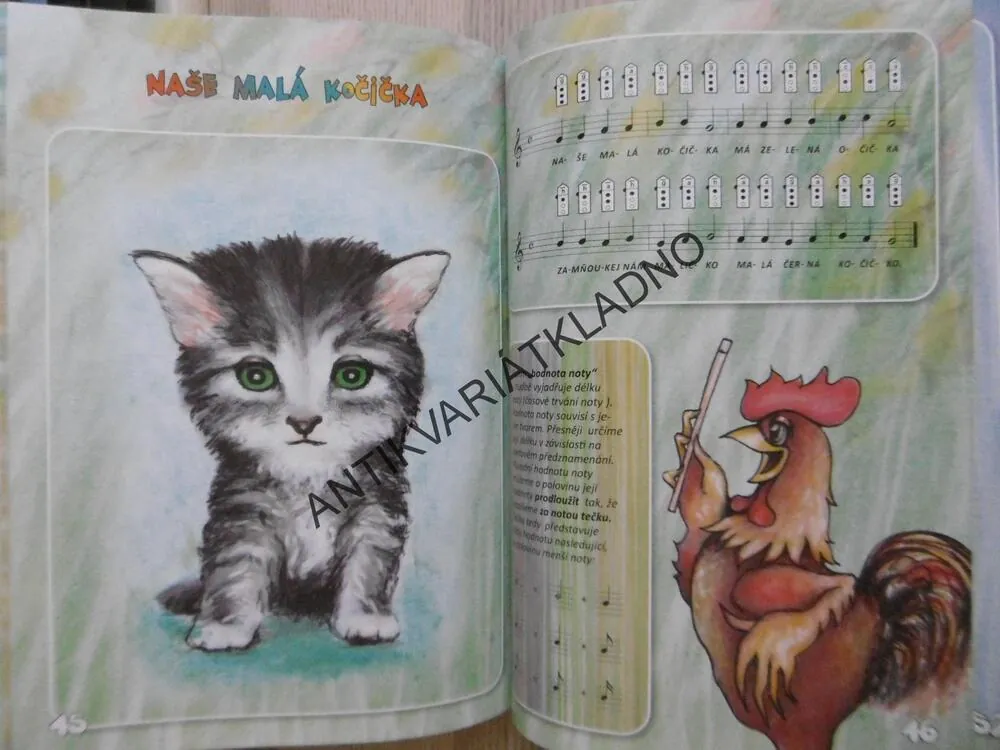 ZÁZRAČNÁ FLÉTNIČKA PRO ŠIKOVNÉ DĚTI, POUZE KNIHA, **an 