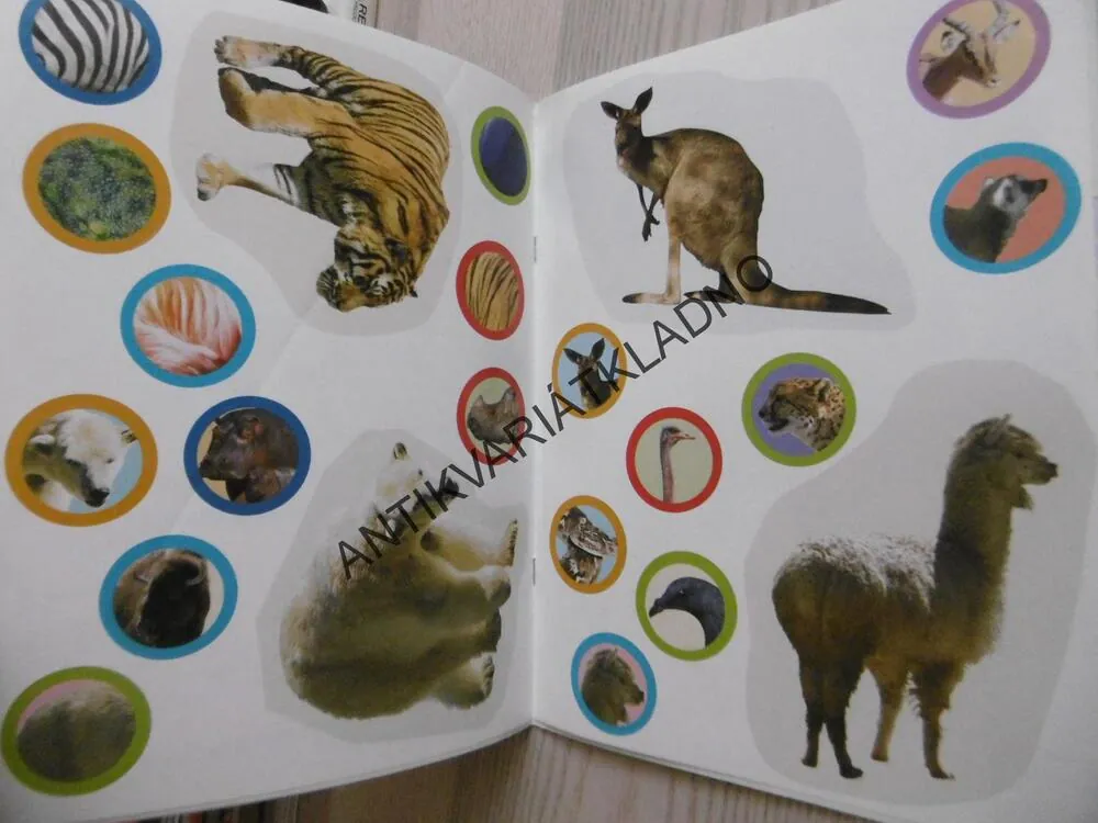 SOUBOR ZOO PESTRÉ SE SAMOLEPKAMI, O ZLATÉ RYBCE, VČETNĚ SAMOLEPEK