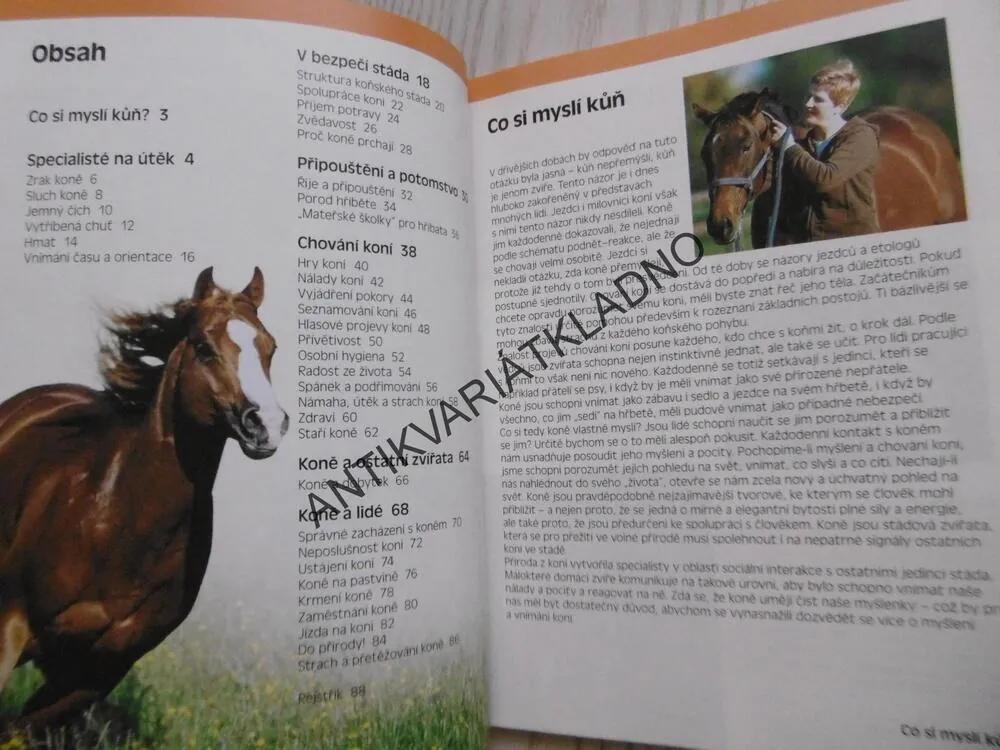 CO SI MYSLÍ KŮŇ, ÚPLNÝ POHLED NA CHOVÁNÍ KONĚ, BINDEROVÁ, **an