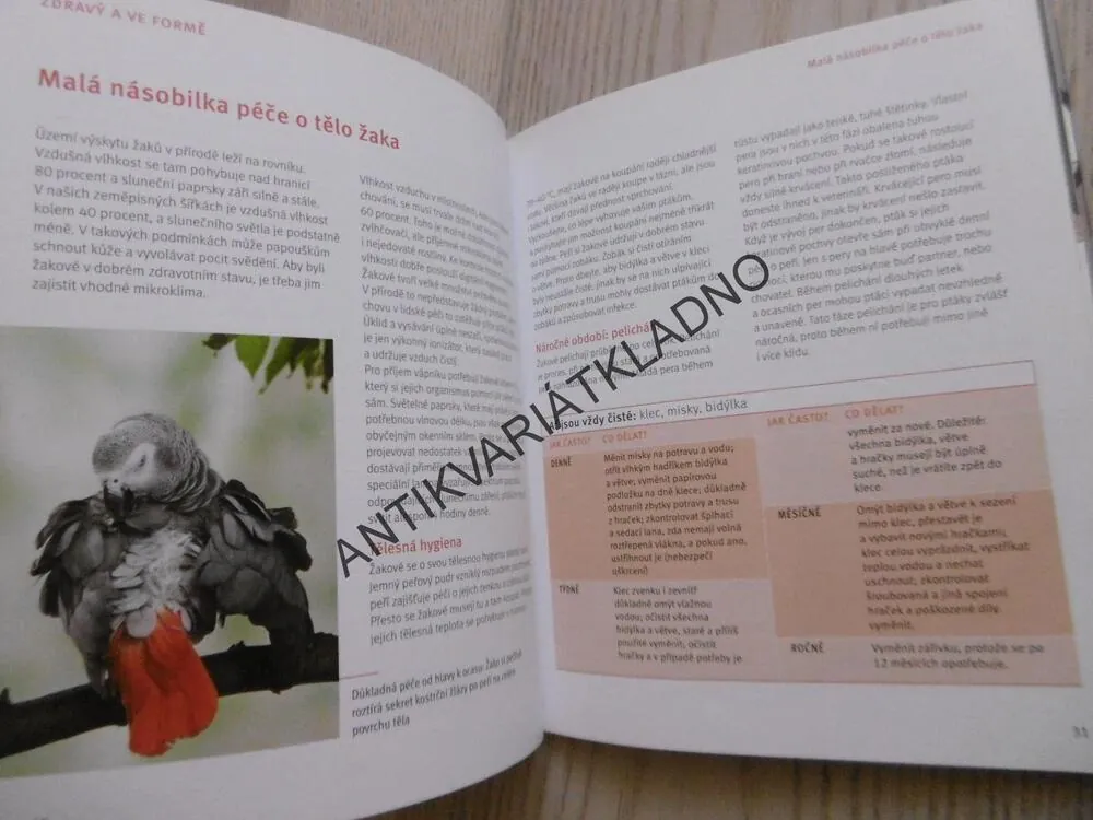 ŽAKO PAPOUŠEK ŠEDÝ, H. NIEMANN, , **an