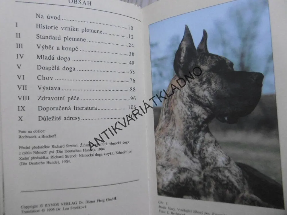 NĚMECKÁ DOGA, F. KRAUTWURST, CO BYSTE O NÍ MĚLI VĚDĚT, **an